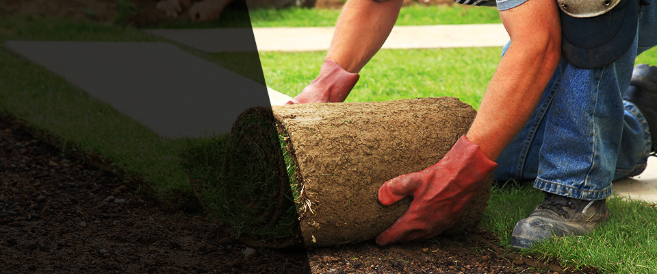 North Chili Landscapers